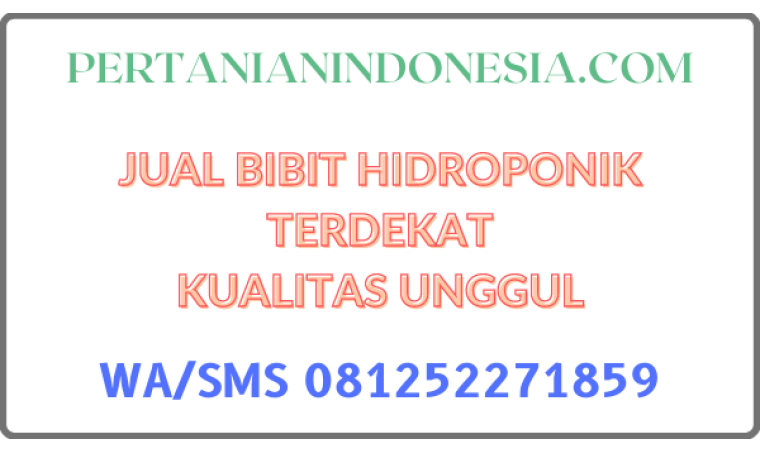 Jual Bibit Hidroponik Terdekat Kualitas Unggul