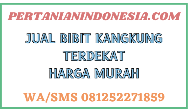 Jual Bibit Kangkung Terdekat Harga Murah