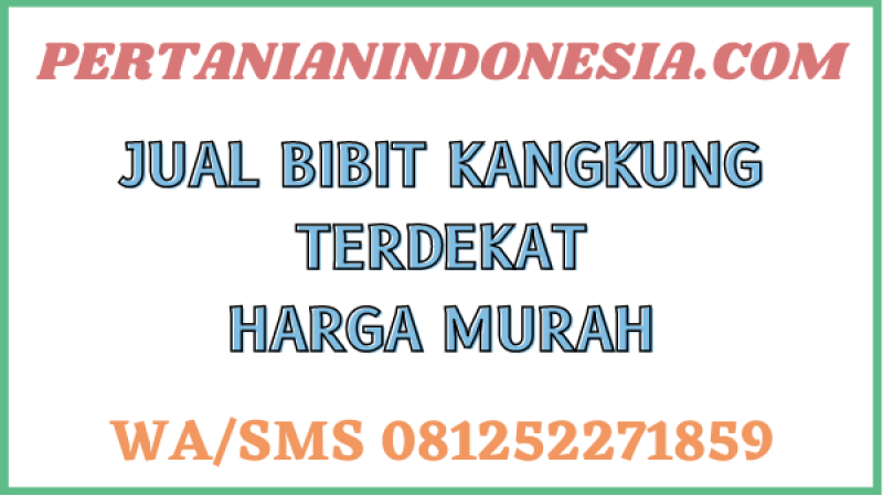 Jual Bibit Kangkung Terdekat Harga Murah