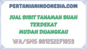 Jual Bibit Tanaman Buah Terdekat Mudah Dijangkau