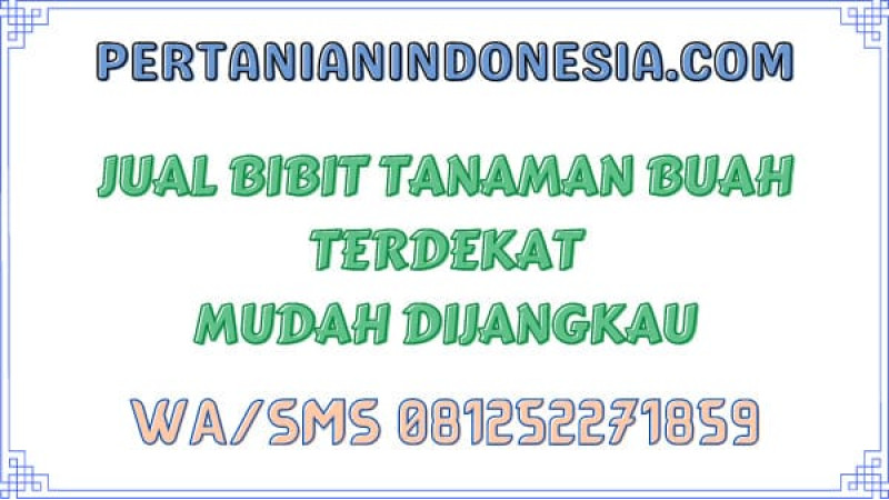 Jual Bibit Tanaman Buah Terdekat Mudah Dijangkau