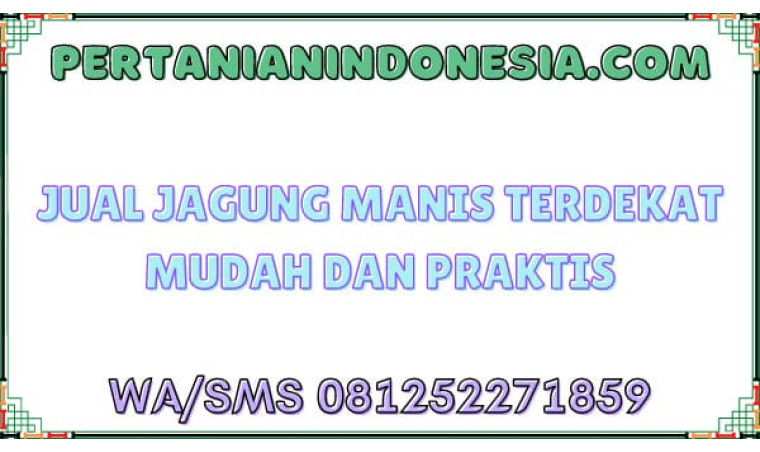 Jual Jagung Manis Terdekat Mudah Dan Praktis