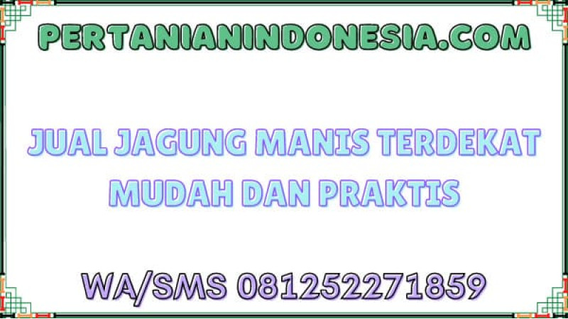 Jual Jagung Manis Terdekat Mudah Dan Praktis