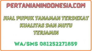 Jual Pupuk Tanaman Terdekat Kualitas Dan Mutu Terjamin