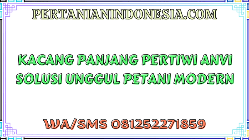 Kacang Panjang Pertiwi Anvi Solusi Unggul Petani Modern