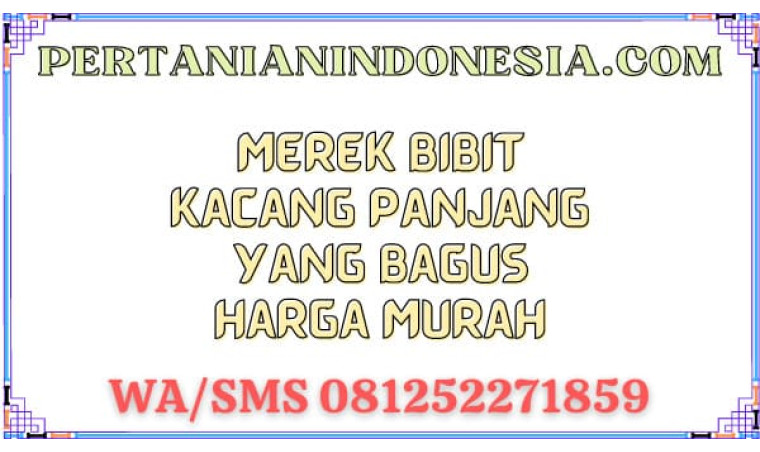 Merek Bibit Kacang Panjang Yang Bagus Harga Murah