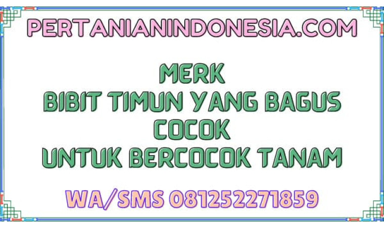 Merk Bibit Timun Yang Bagus Cocok Untuk Bercocok Tanam