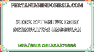 Merk ZPT Untuk Cabe Berkualitas Unggulan