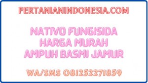 Nativo Fungisida Harga Murah Ampuh Basmi Jamur
