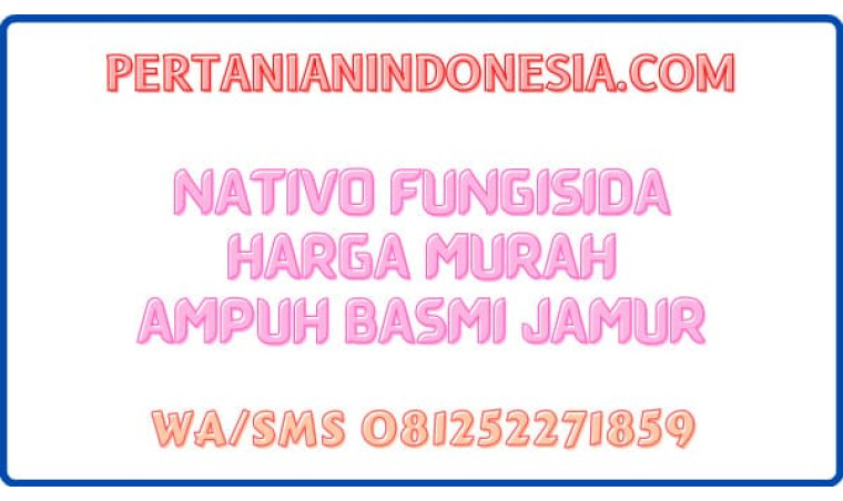Nativo Fungisida Harga Murah Ampuh Basmi Jamur