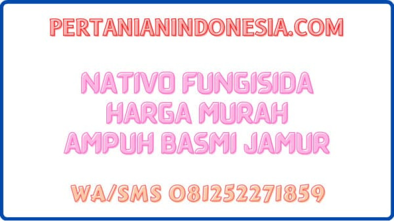 Nativo Fungisida Harga Murah Ampuh Basmi Jamur