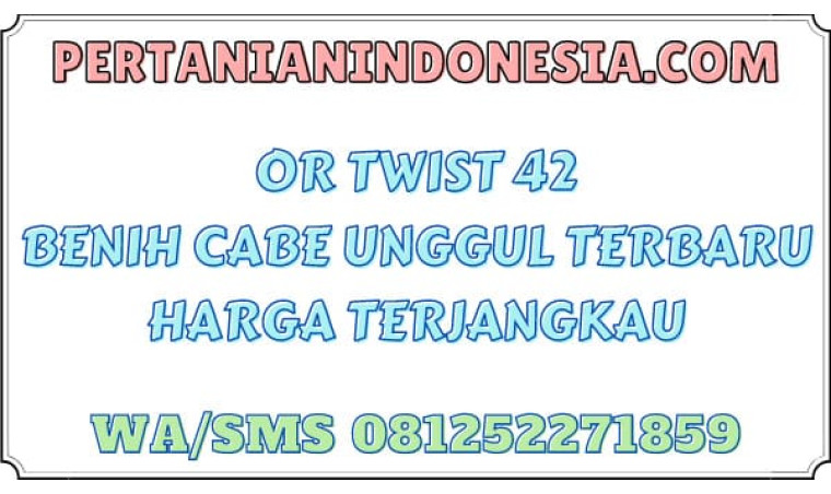 OR Twist 42 Benih Cabe Unggul Terbaru Harga Terjangkau
