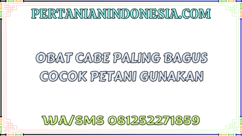 Obat Cabe Paling Bagus Cocok Petani Gunakan