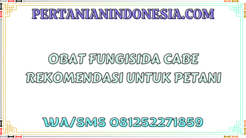 Obat Fungisida Cabe Rekomendasi Untuk Petani