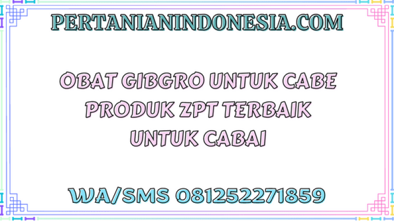Obat Gibgro Untuk Cabe Produk ZPT Terbaik Untuk Cabai