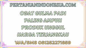 Obat Gulma Padi Paling Ampuh Produk Unggul Harga Terjangkau