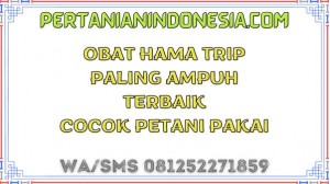 Obat Hama Trip Paling Ampuh Terbaik Cocok Petani Pakai