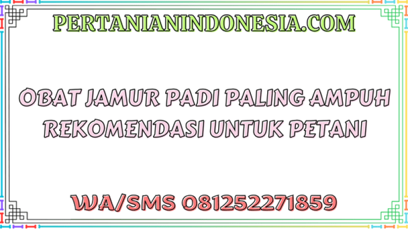 Obat Jamur Padi Paling Ampuh Berkualitas Unggulan Untuk Petani