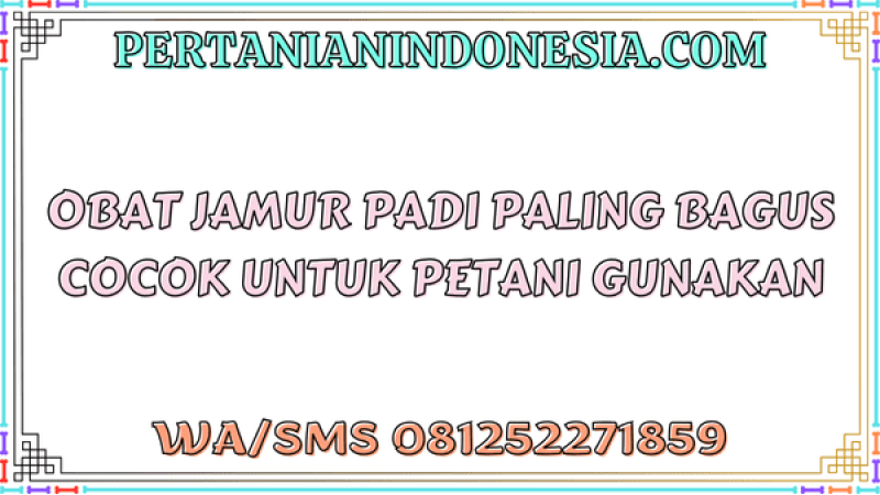 Obat Jamur Padi Paling Bagus Cocok Untuk Petani Gunakan