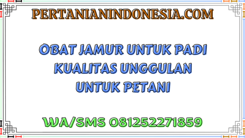 Obat Jamur Untuk Padi Kualitas Unggulan Untuk Petani