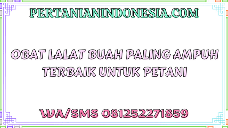 Obat Lalat Buah Paling Ampuh Terbaik Untuk Petani