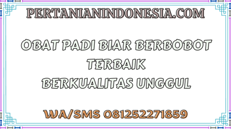 Obat Padi Biar Berbobot Terbaik Berkualitas Unggul