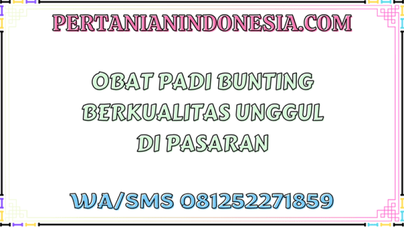 Obat Padi Bunting Berkualitas Unggul Di Pasaran