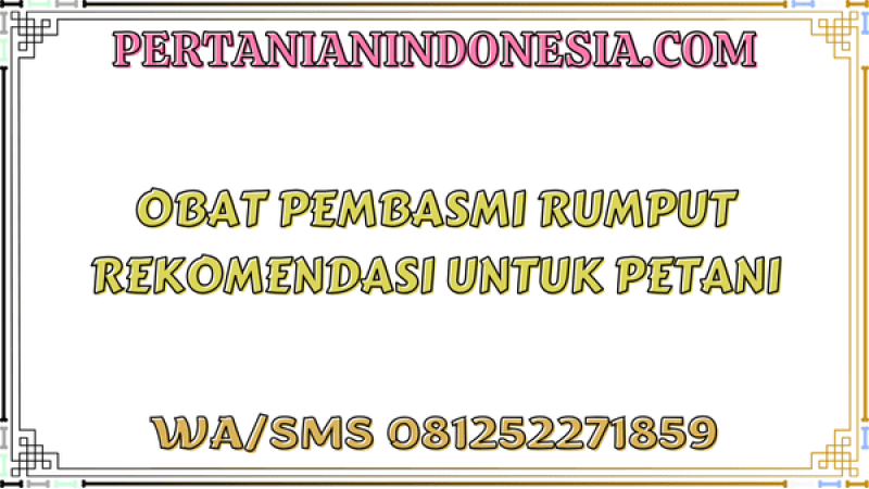 Obat Pembasmi Rumput Rekomendasi Untuk Petani