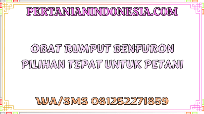 Obat Rumput Benfuron Pilihan Tepat Untuk Petani