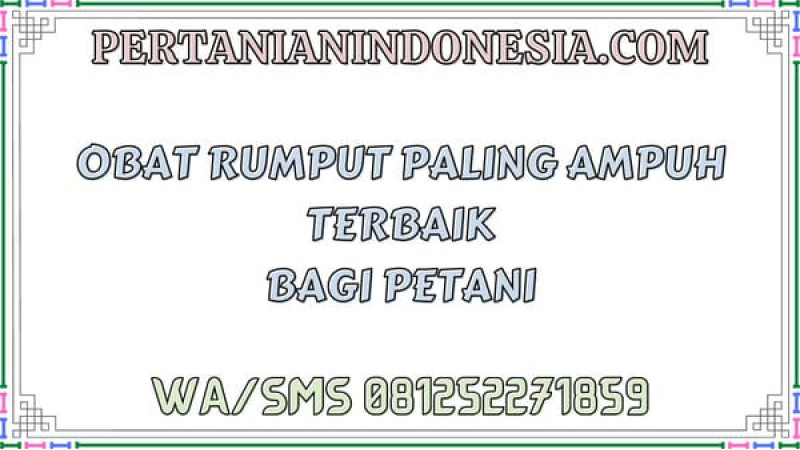 Obat Rumput Paling Ampuh Terbaik Bagi Petani