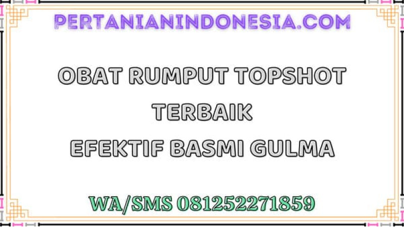 Obat Rumput Topshot Terbaik Efektif Basmi Gulma