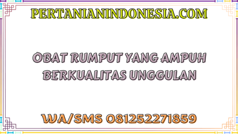 Obat Rumput Yang Ampuh Berkualitas Unggulan