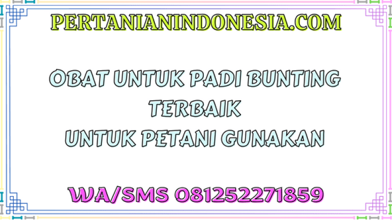 Obat Untuk Padi Bunting Terbaik Untuk Petani Gunakan
