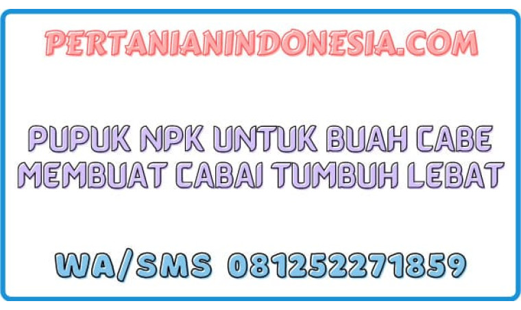Pupuk NPK Untuk Buah Cabe Membuat Cabai Tumbuh Lebat