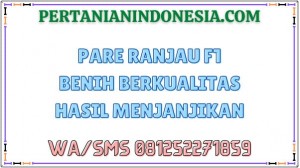 Pare Ranjau F1 Benih Berkualitas Hasil Menjanjikan