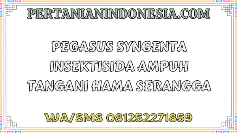 Pegasus Syngenta Insektisida Ampuh Tangani Hama Serangga