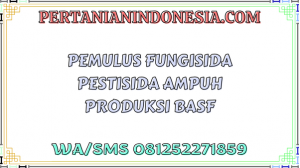 Pemulus Fungisida Pestisida Ampuh Produksi BASF