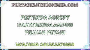 Pestisida Agrept Bakterisida Ampuh Pilihan Petani