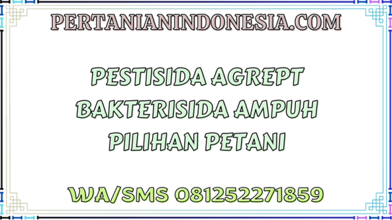 Pestisida Agrept Bakterisida Ampuh Pilihan Petani
