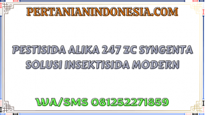 Pestisida Alika 247 ZC Syngenta Solusi Insektisida Modern