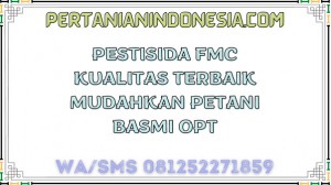 Pestisida FMC Kualitas Terbaik Mudahkan Petani Basmi OPT