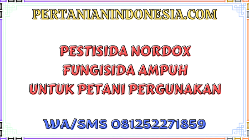 Pestisida Nordox Fungisida Ampuh Untuk Petani Pergunakan