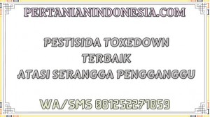 Pestisida Toxedown Terbaik Atasi Serangga Pengganggu