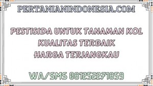 Pestisida Untuk Tanaman Kol Kualitas Terbaik Harga Terjangkau