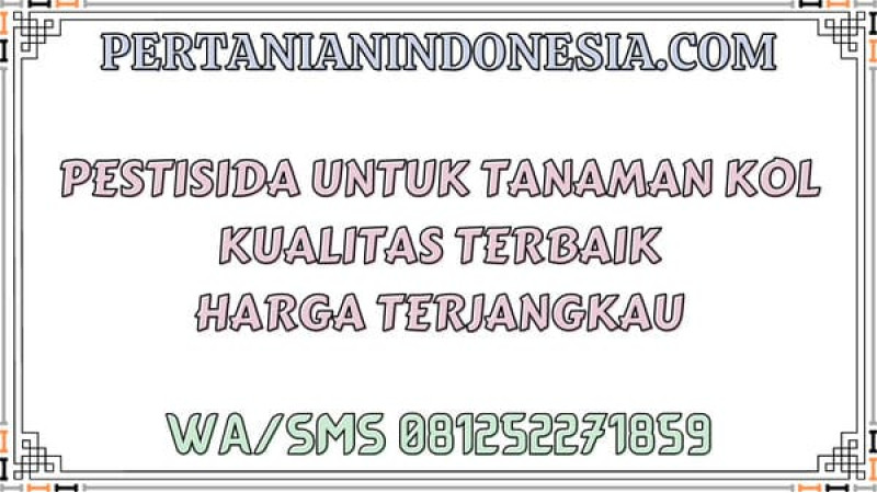Pestisida Untuk Tanaman Kol Kualitas Terbaik Harga Terjangkau