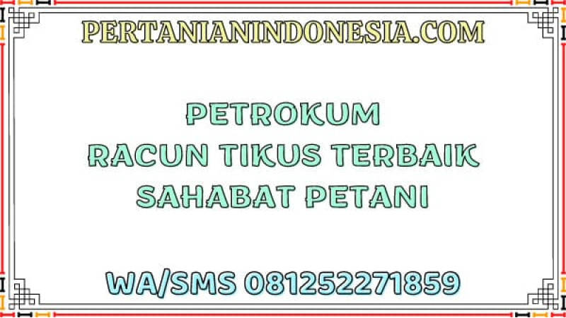 Petrokum Racun Tikus Terbaik Sahabat Petani