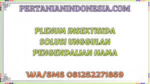 Plenum Insektisida Solusi Unggulan Pengendalian Hama