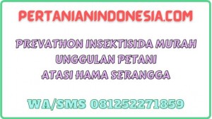 Prevathon Insektisida Murah Unggulan Petani Atasi Hama Serangga