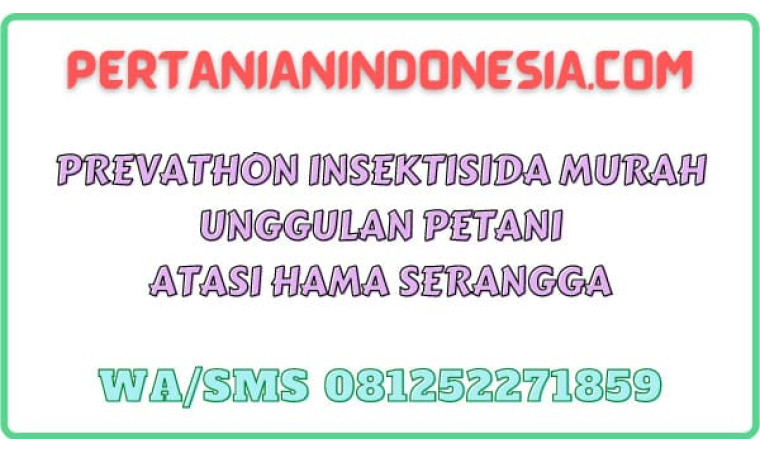 Prevathon Insektisida Murah Unggulan Petani Atasi Hama Serangga