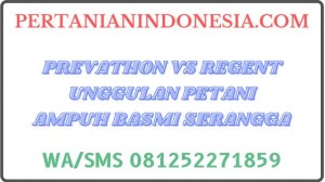 Prevathon VS Regent Unggulan Petani Ampuh Basmi Serangga